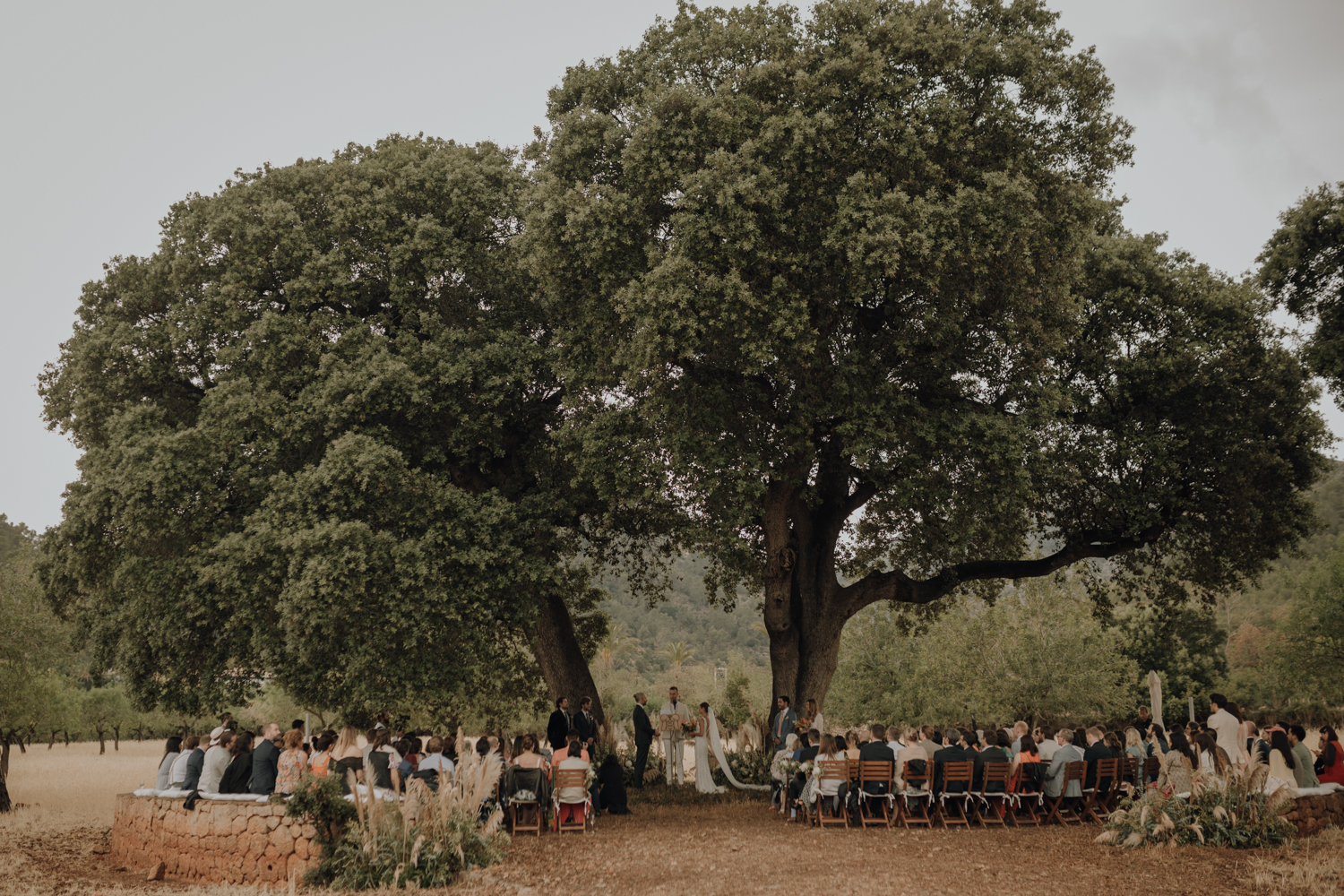 Majorca luxury wedding with an outside ceremony by two century old trees